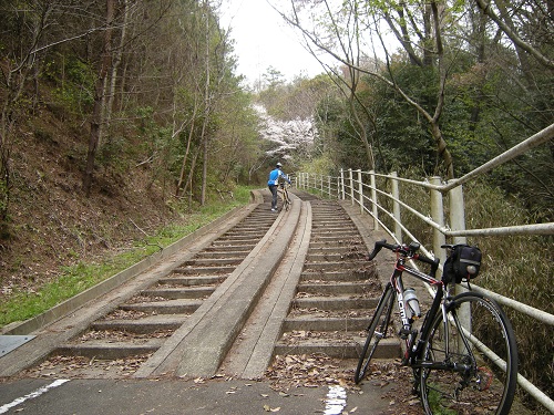 DSCN2604.JPG