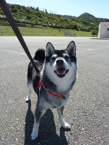男鹿半島ぶらり旅