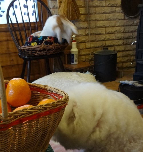 DSC01873.JPG