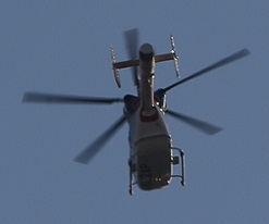 5DA_8213-9.jpg
