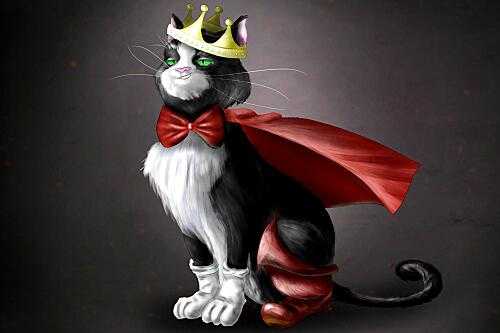 化けネコ話 耳 ミミ とチャッピの布団 楽天ブログ