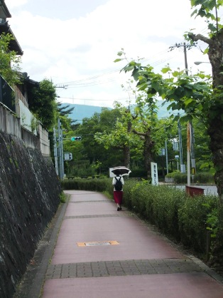 namikimitiga.jpg