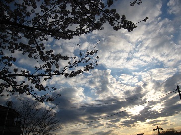IMG_8154.JPG