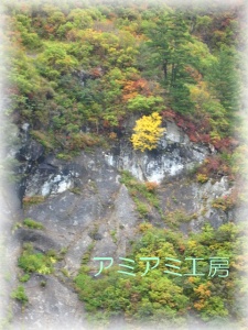 奥只見湖_9