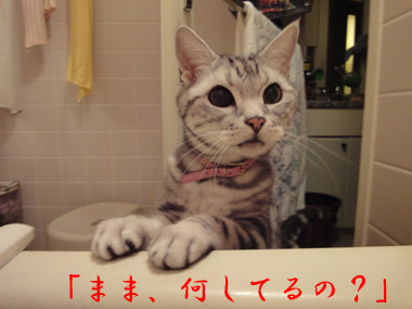 tiro1.jpg