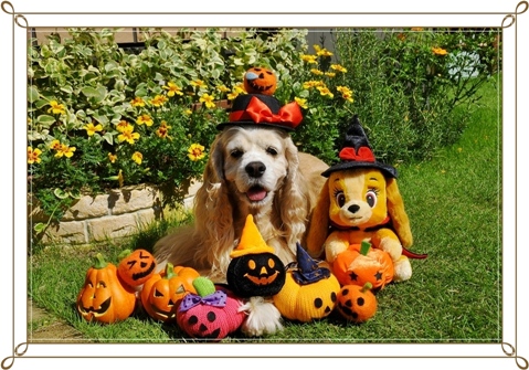 2012 ハッピーハロウィン..JPG