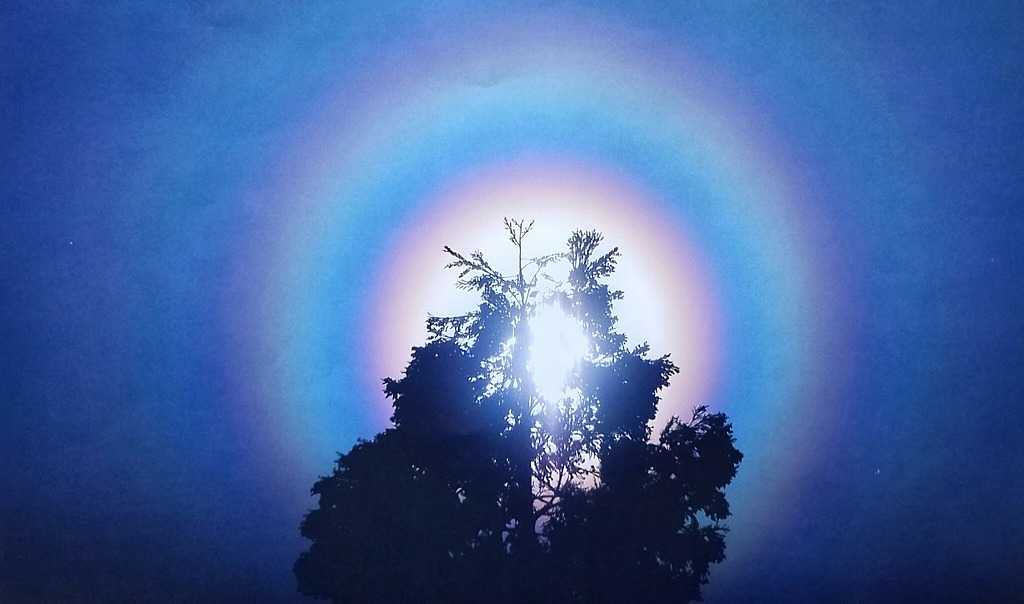 笑う門には健康来るヽ(^o^)丿