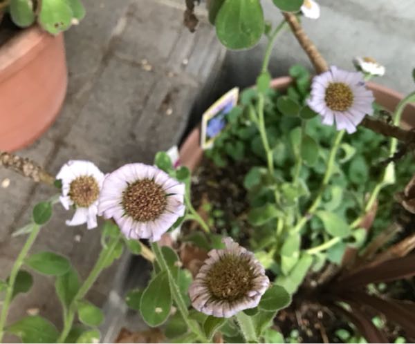 rblog-20181108170137-03.jpg
