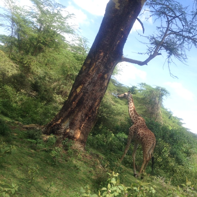 rblog-20130617135920-00.jpg