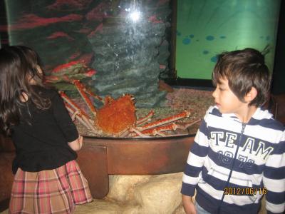 水族館　２.jpg