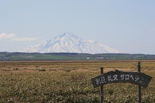 sarobetsu_sprinter