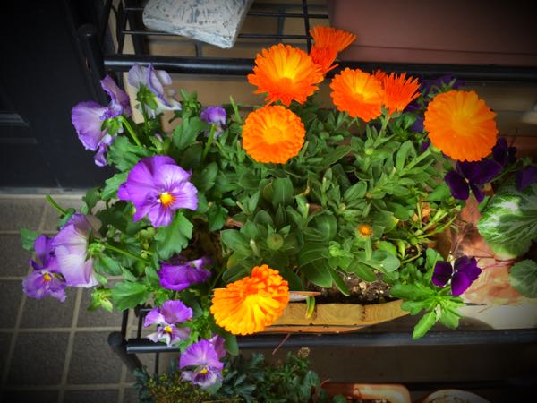 rblog-20150430203255-02.jpg