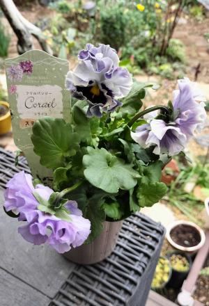 手塚 国光 | RENZIの場所 - 楽天ブログ