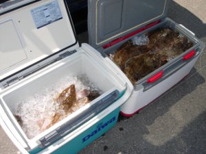 DSCN4727.JPG