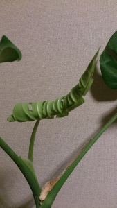 rblog-20130810231236-02.png