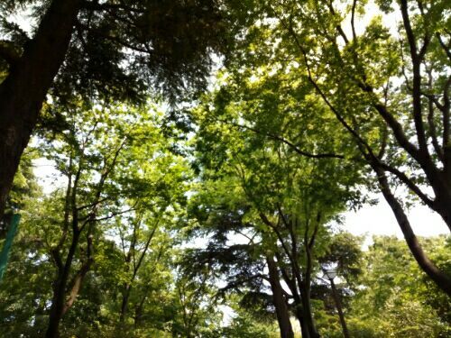 rblog-20170512142624-01.jpg