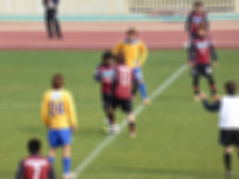 P1130419.jpg