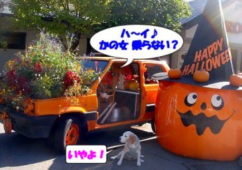 20131013ナンパ？