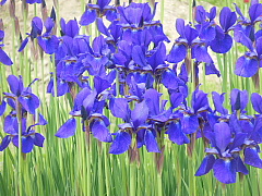 conv0333.JPG