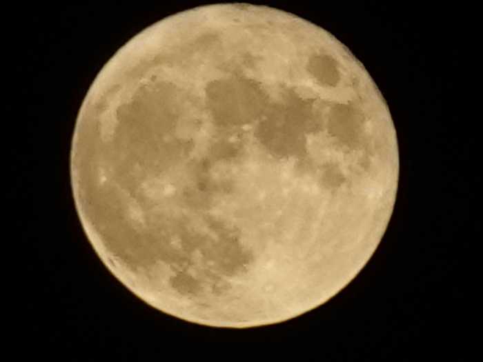 中秋の名月 Jinさんの陽蜂農遠日記 楽天ブログ