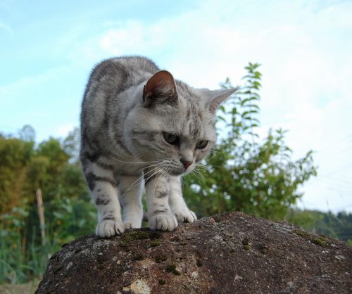 DSC_0772.JPG