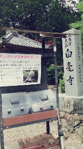 rblog-20150523223316-02.jpg