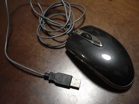 mouse.JPG