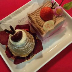 お土産の雛ケーキ