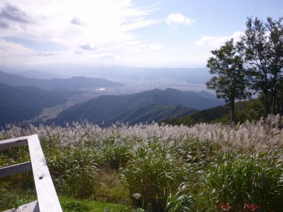 P1010043.jpg