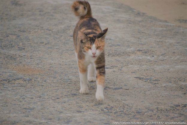 『アベンジャーズ:インフィニティ・ウォー』に新しい予告編が登場。今すぐ見る