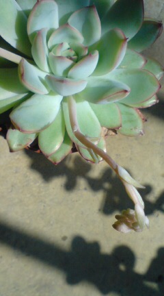 20140321005038.jpg
