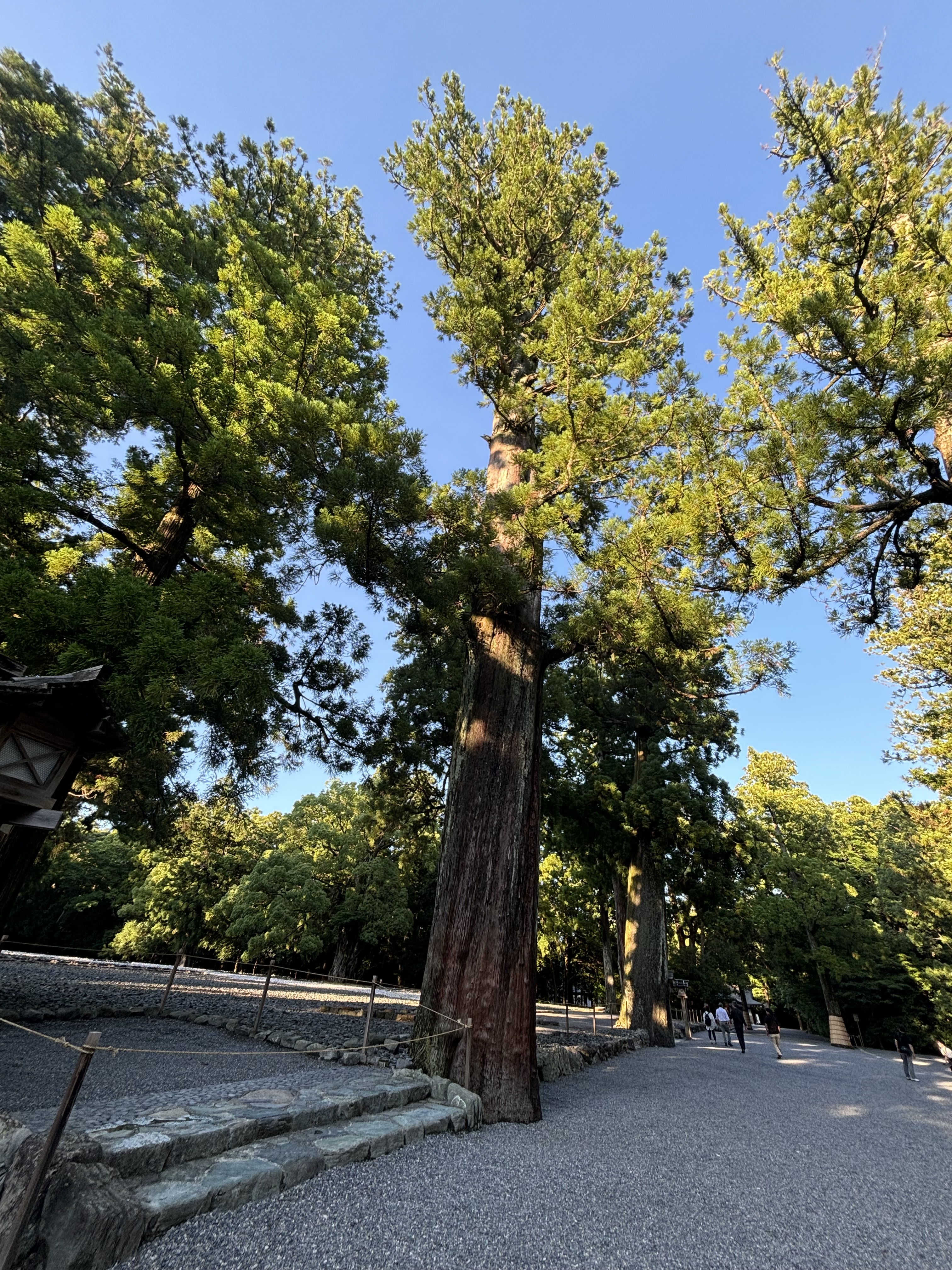 助産師兼Caratの日常