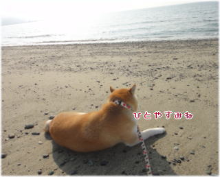 0117昼5.jpg