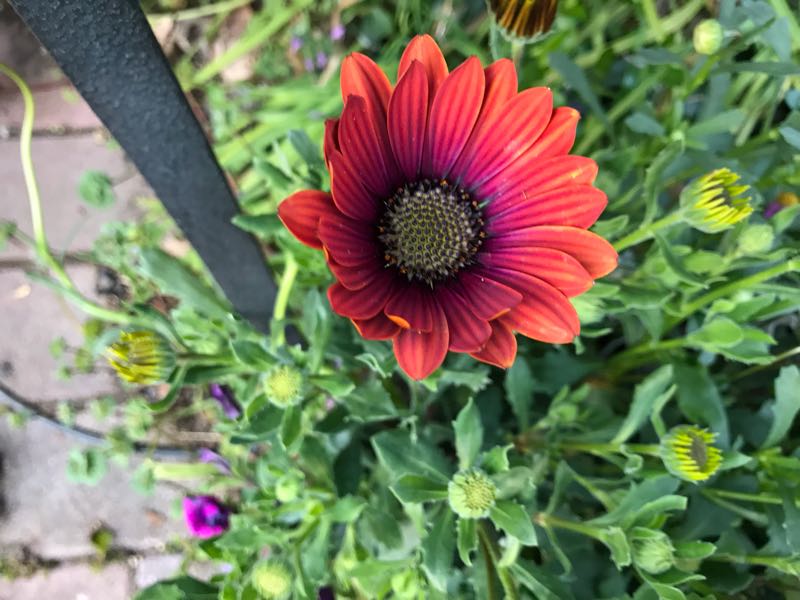 rblog-20190324173828-01.jpg