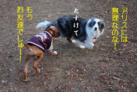 お友達