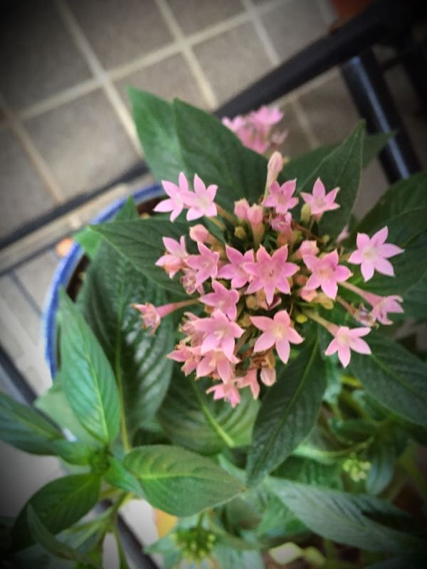 rblog-20150728202527-01.jpg