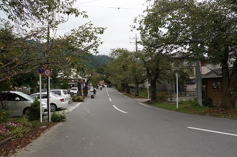 DSC00454.JPG
