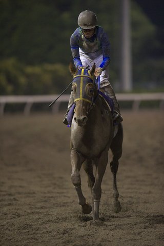 レース後