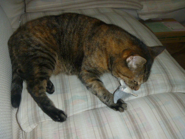 P1010262.JPG