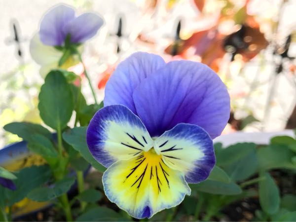rblog-20181029111210-03.jpg