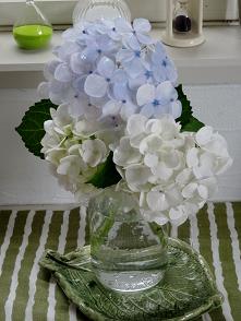 DSC01077.JPG