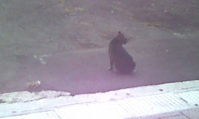 20121004081215.jpg