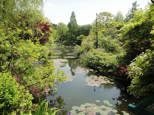 2013_0429_115447-DSC02769.jpg