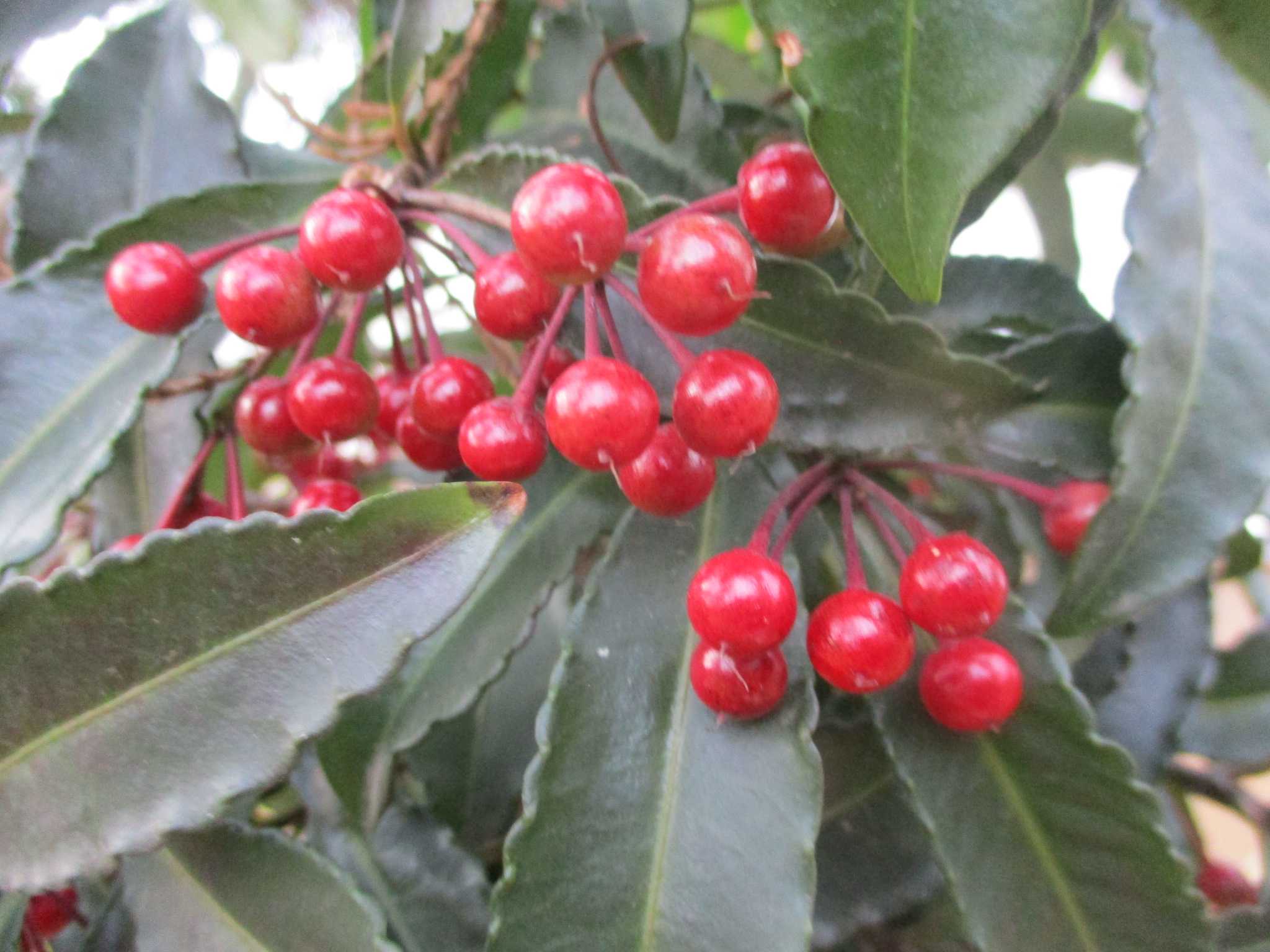 晴　陶　句　読