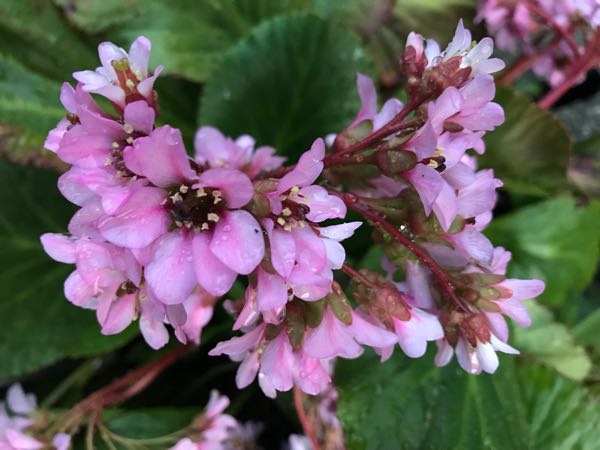 rblog-20180328191849-00.jpg
