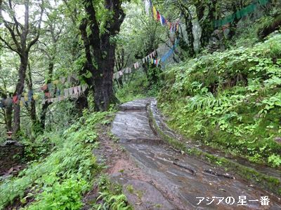 20160726 タンゴ寺5