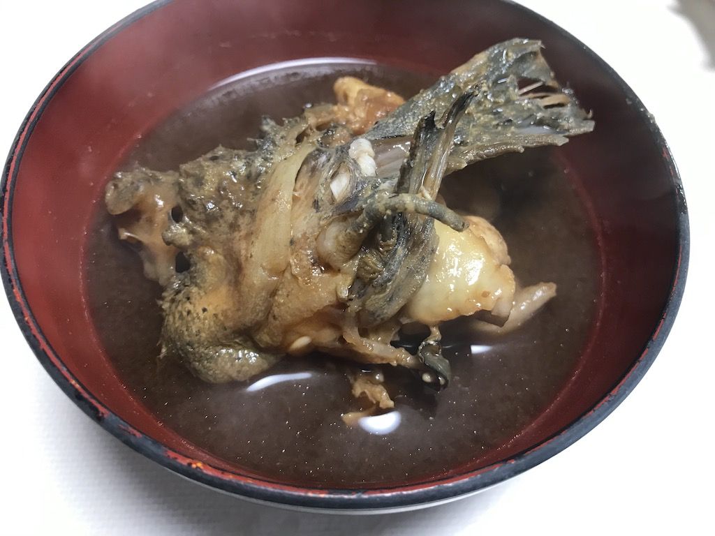 讃岐の魚 ぶりとろ さより刺身 おこぜ赤出汁 ブログ 食い道楽 楽天ブログ