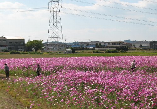 じいさんばあさんの楽しみ.jpg