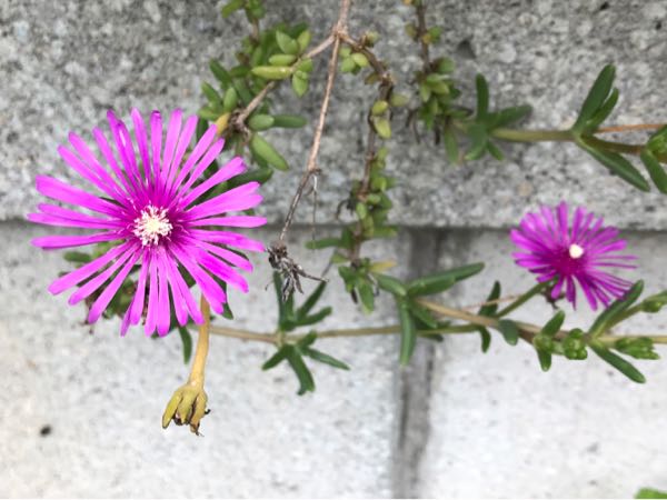 rblog-20180624180538-00.jpg