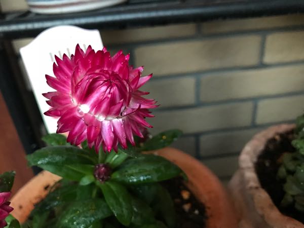 rblog-20180328191552-08.jpg